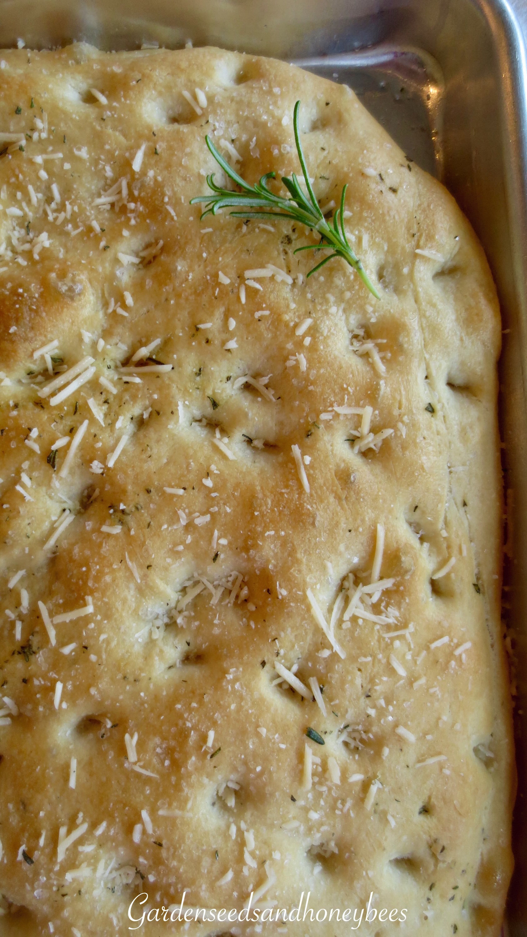 Rosemary Focaccia Bread - Garden Seeds And Honey Bees | Garden Seeds ...