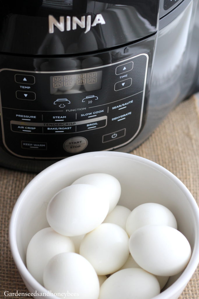 ninja cooking system hard boiled eggs