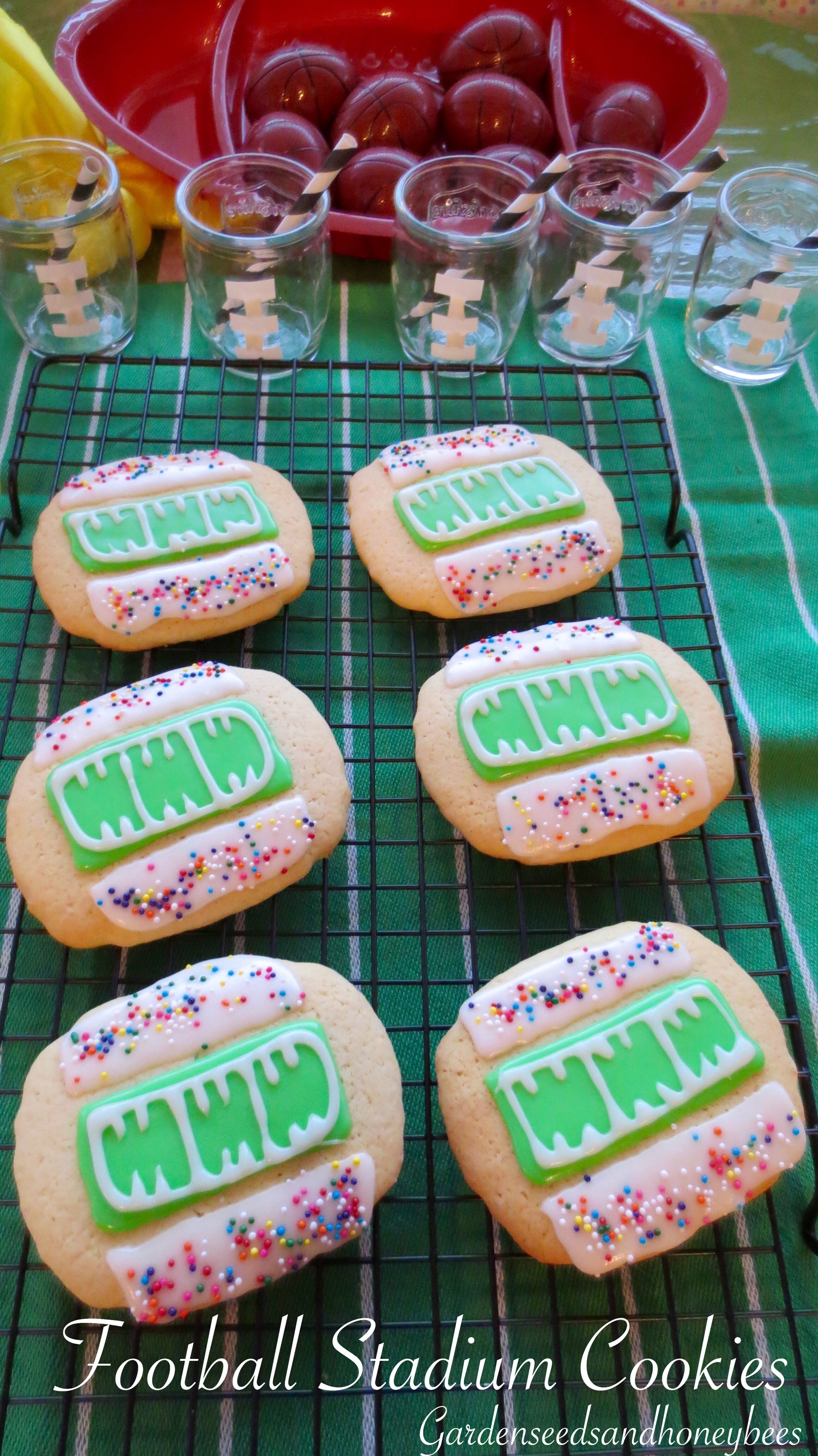 Football Stadium Cookies - Garden Seeds And Honey Bees