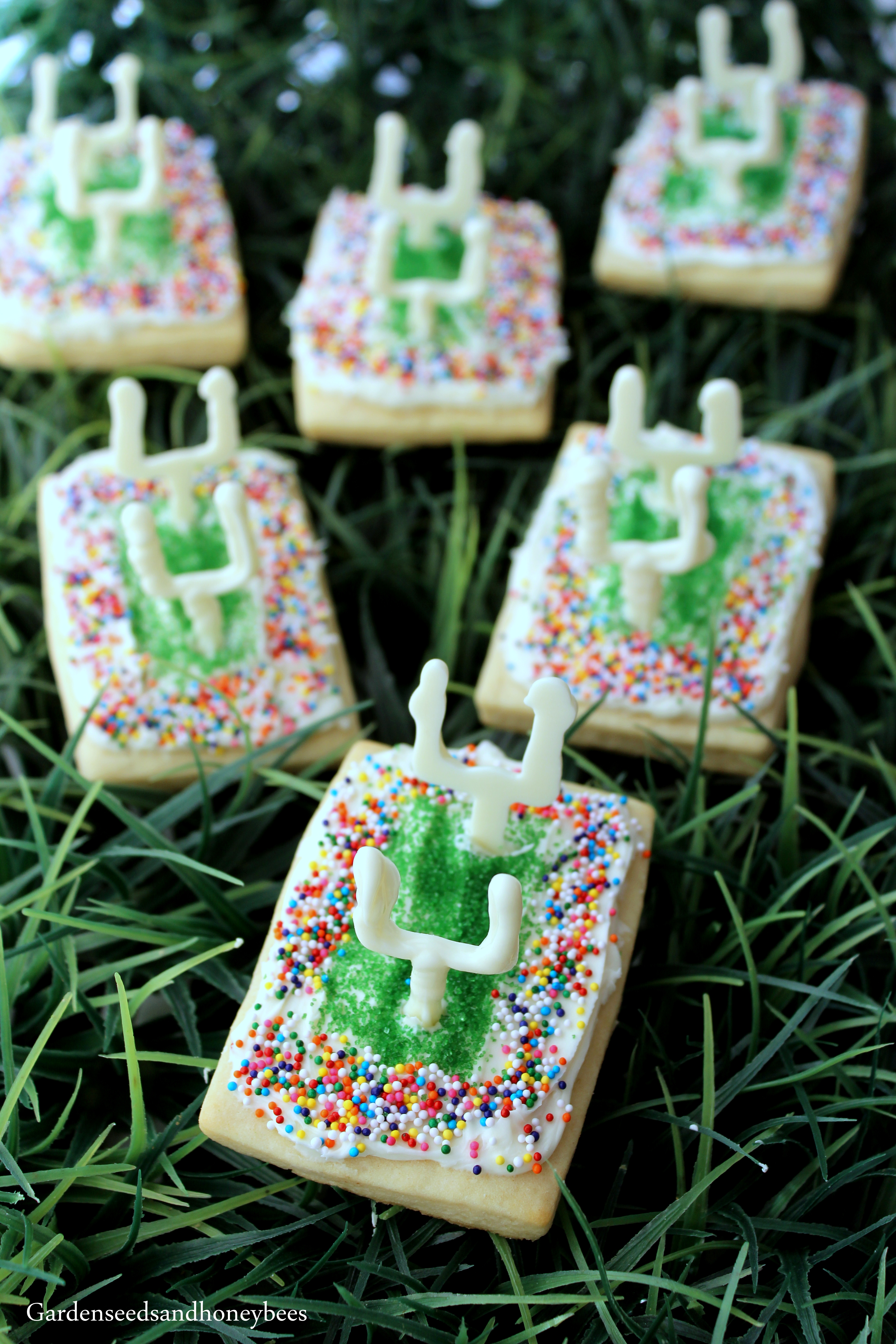 Football Field Goal Post Cookies - Garden Seeds And Honey Bees