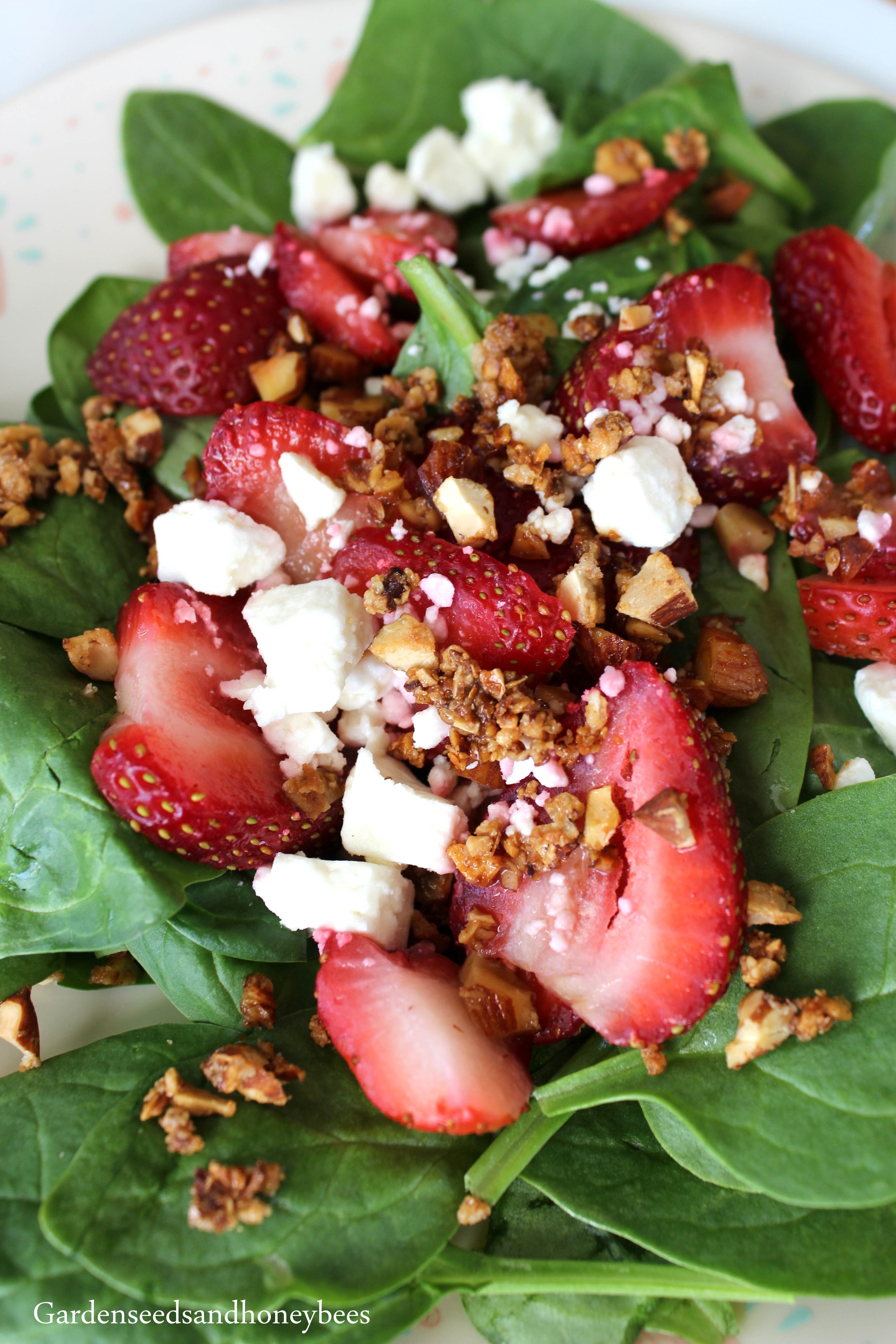 Spinach Strawberry Almond Salad - Garden Seeds And Honey Bees