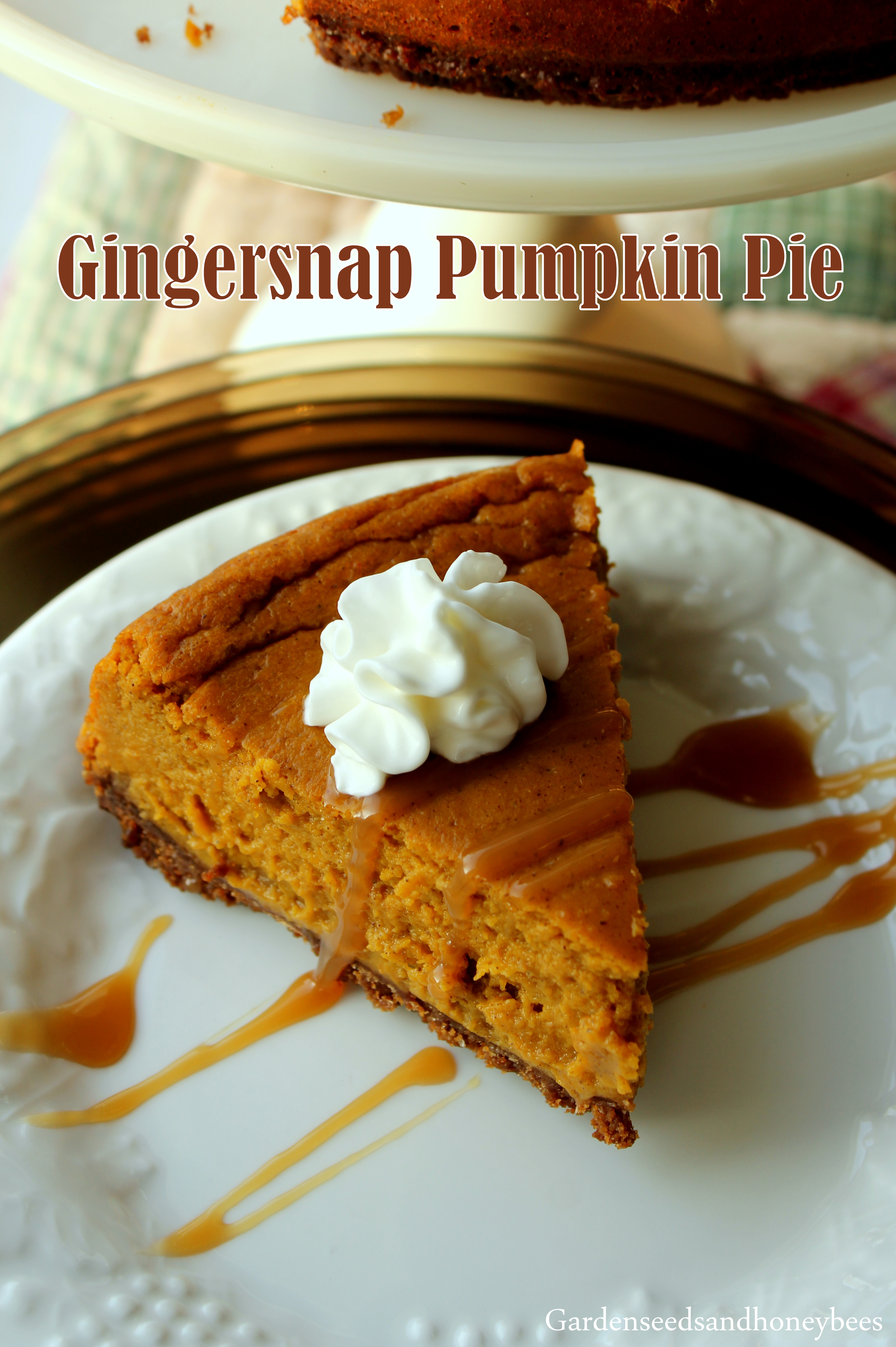 Gingersnap Pumpkin Pie - Garden Seeds And Honey Bees