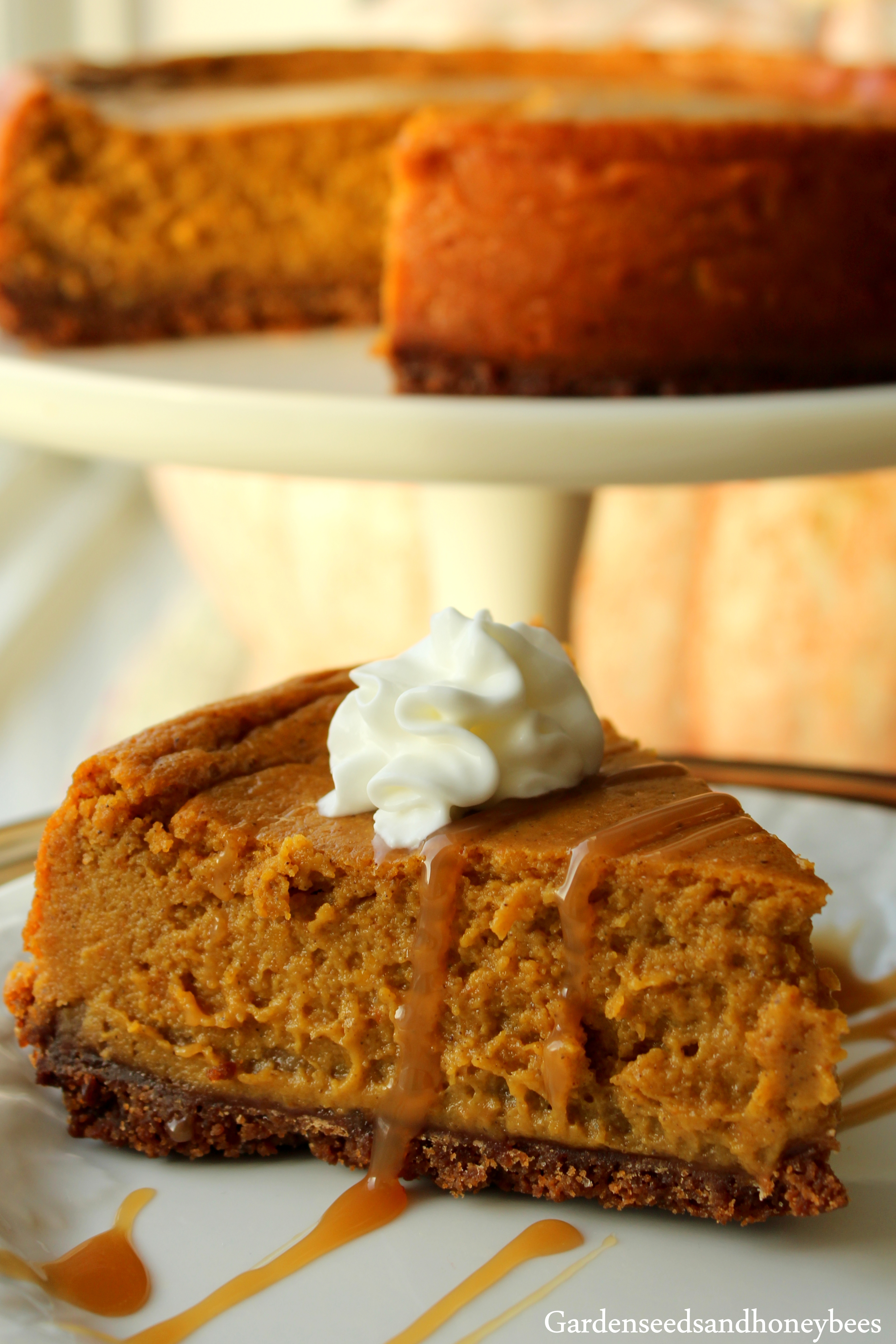 Gingersnap Pumpkin Pie - Garden Seeds And Honey Bees