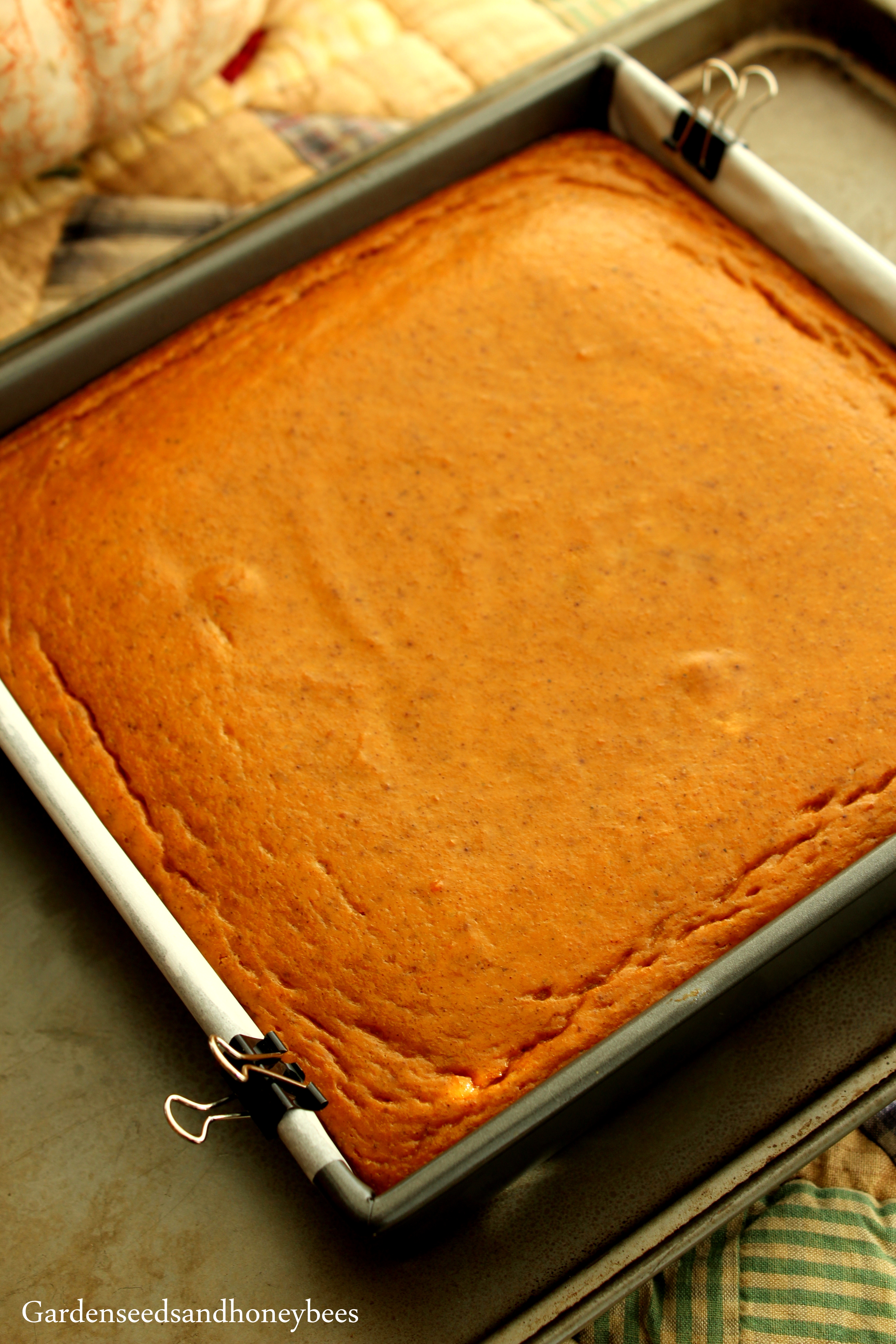 Gingersnap Pumpkin Pie Bites - Garden Seeds And Honey Bees