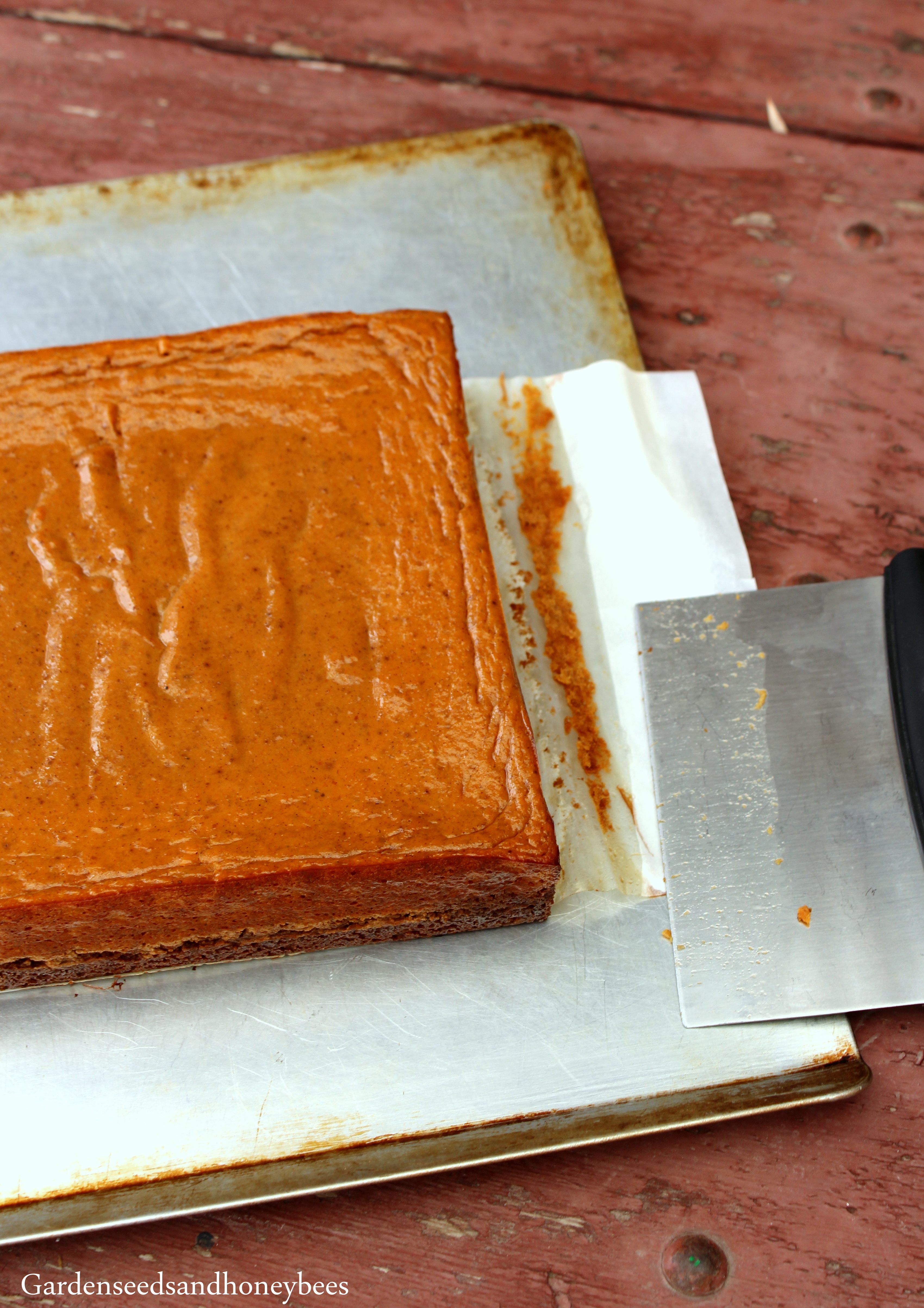 Gingersnap Pumpkin Pie Bites - Garden Seeds And Honey Bees