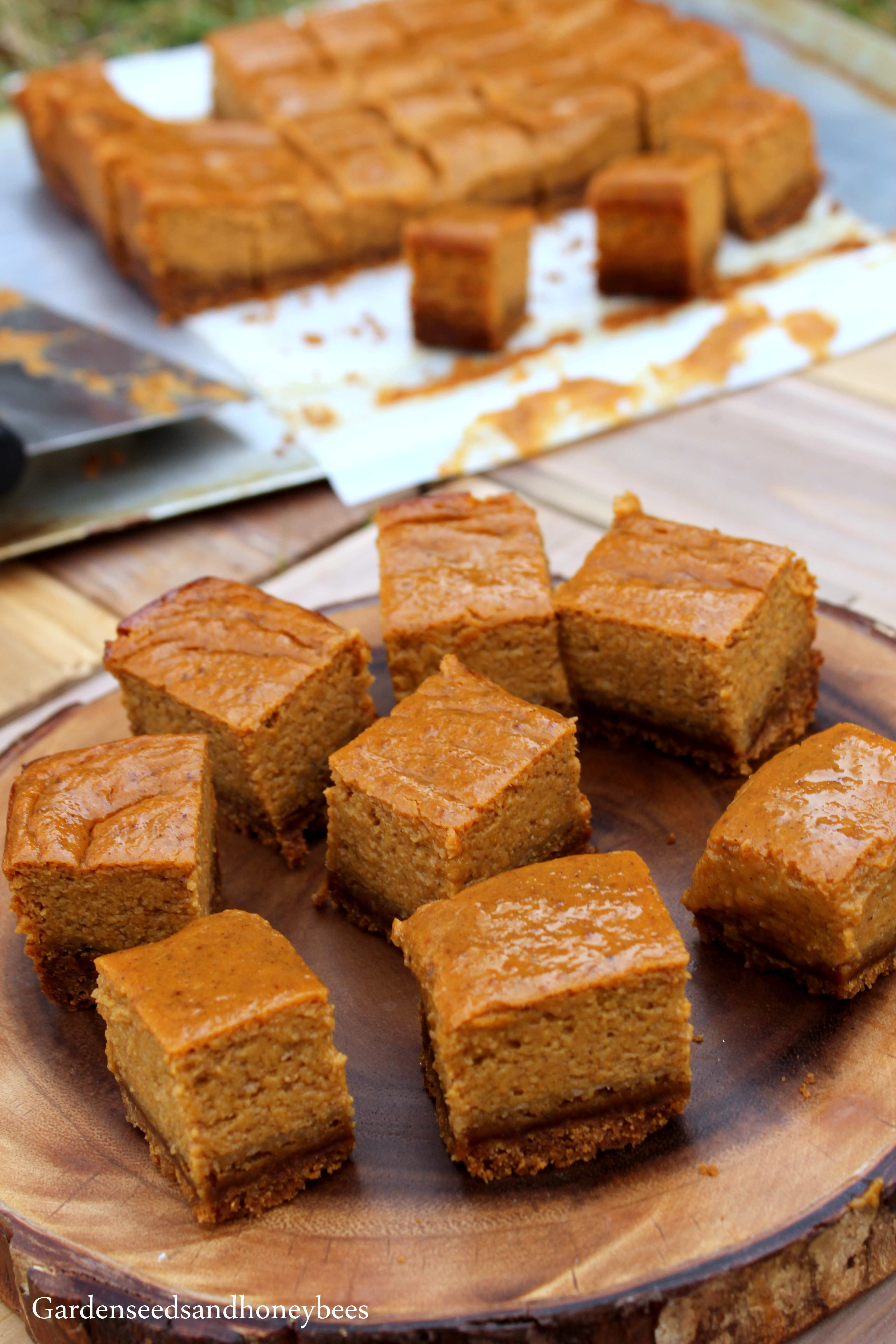 Gingersnap Pumpkin Pie Bites - Garden Seeds And Honey Bees