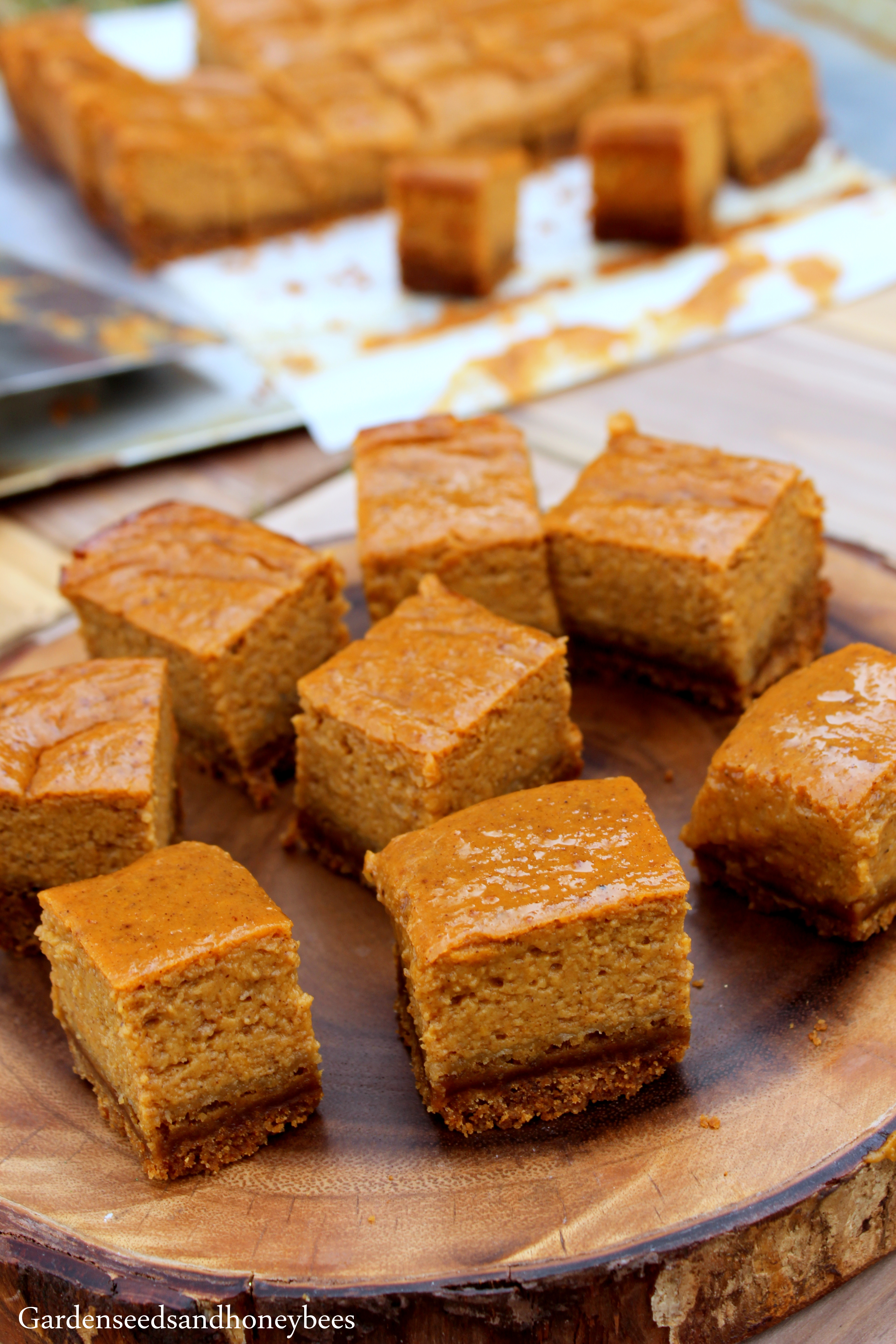 Gingersnap Pumpkin Pie Bites - Garden Seeds And Honey Bees