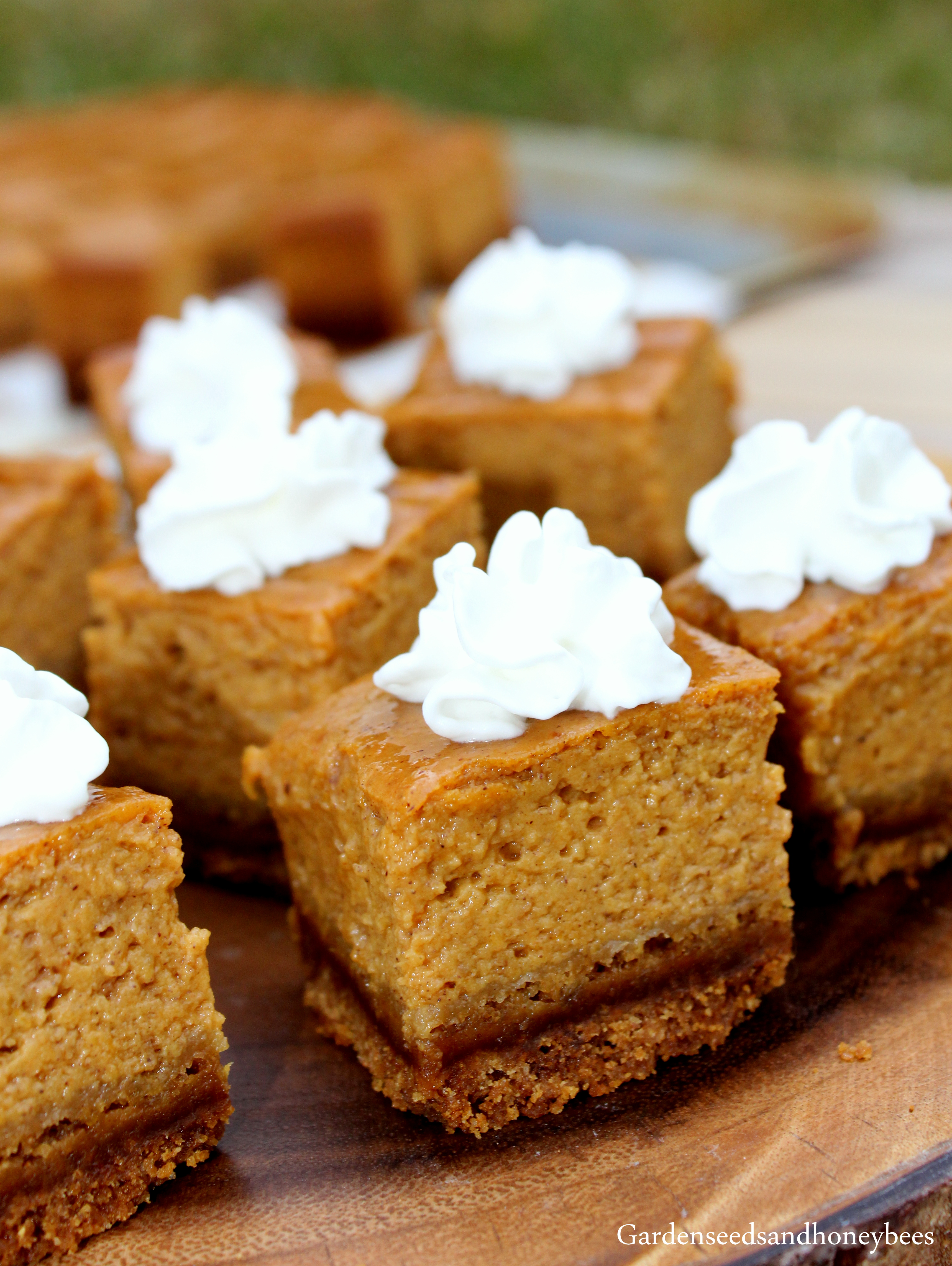 Gingersnap Pumpkin Pie Bites - Garden Seeds And Honey Bees